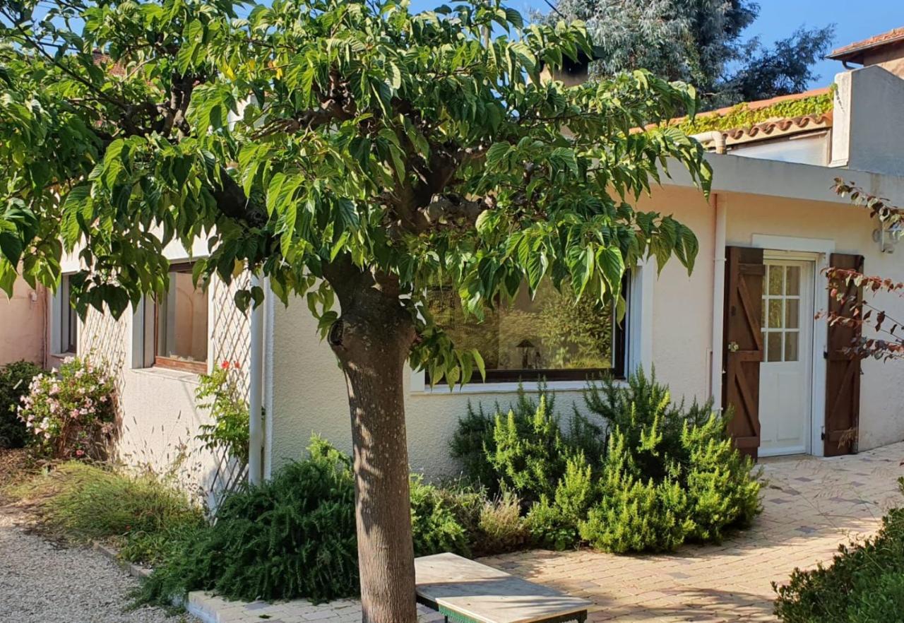 Haus Mit Garten Ueber Der Bucht Von Cannes Vallauris Bagian luar foto